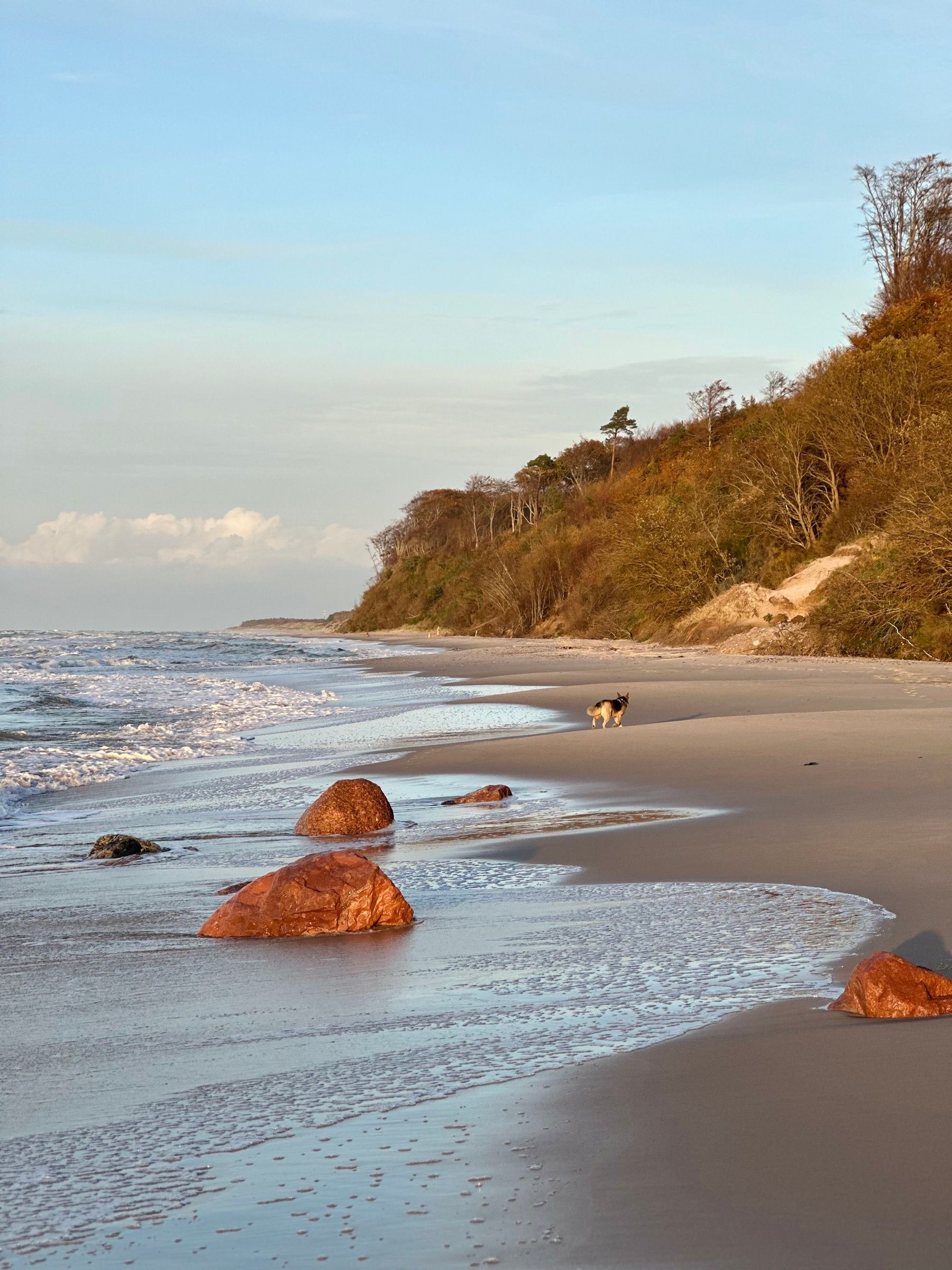 Plaża między Poddąbiem a Dębiną, głazy w wodzie i klif porośnięty drzewami